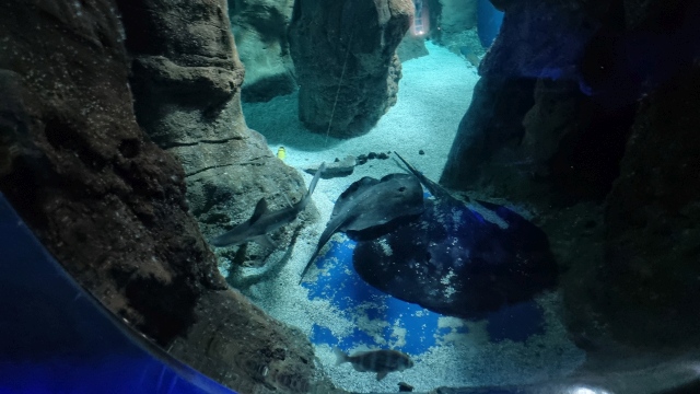../images/fotoalbum/lanzarote23/2023-09-18 10.24.00